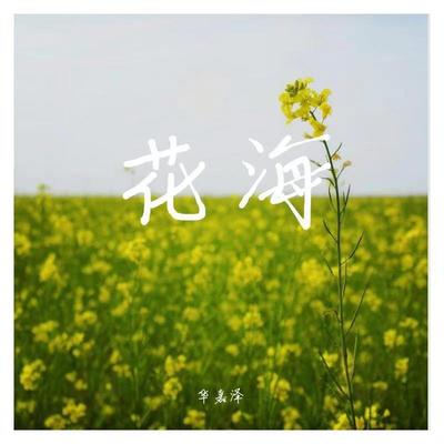 周杰伦《花海》鼓谱 - 架子鼓谱 - 中级版